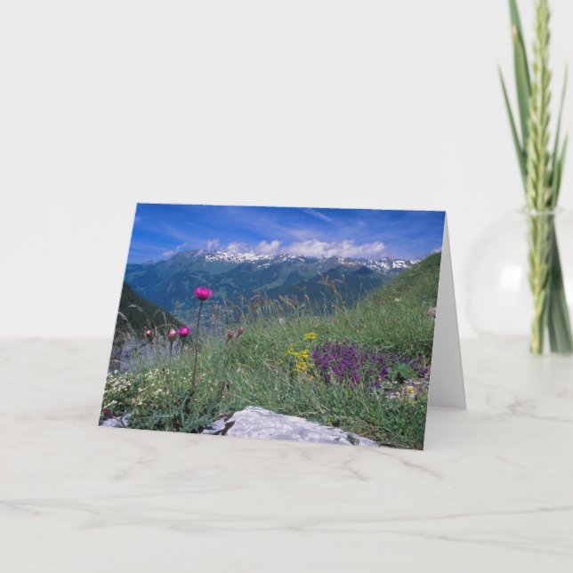 Swiss Alps card (Front)