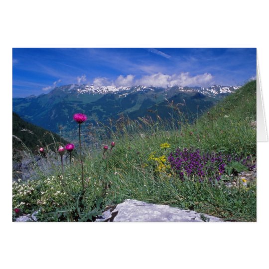 Swiss Alps card