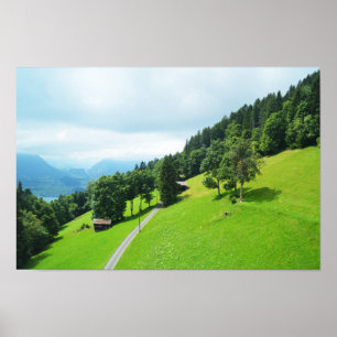 Swiss alps in summer poster