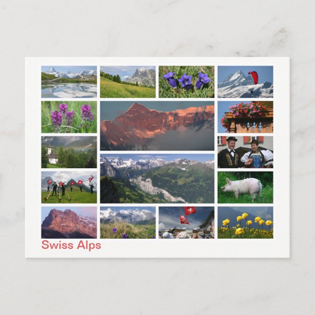 Swiss Alps multi-image Postcard (Front)