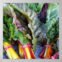 Swiss Chard