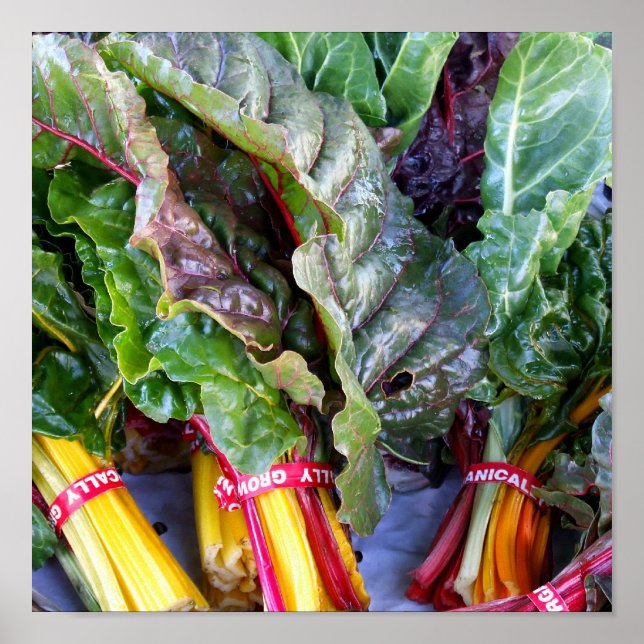 Swiss Chard Poster (Front)