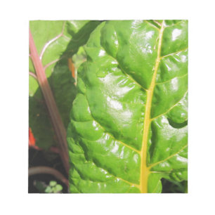 Swiss Chards Notepad