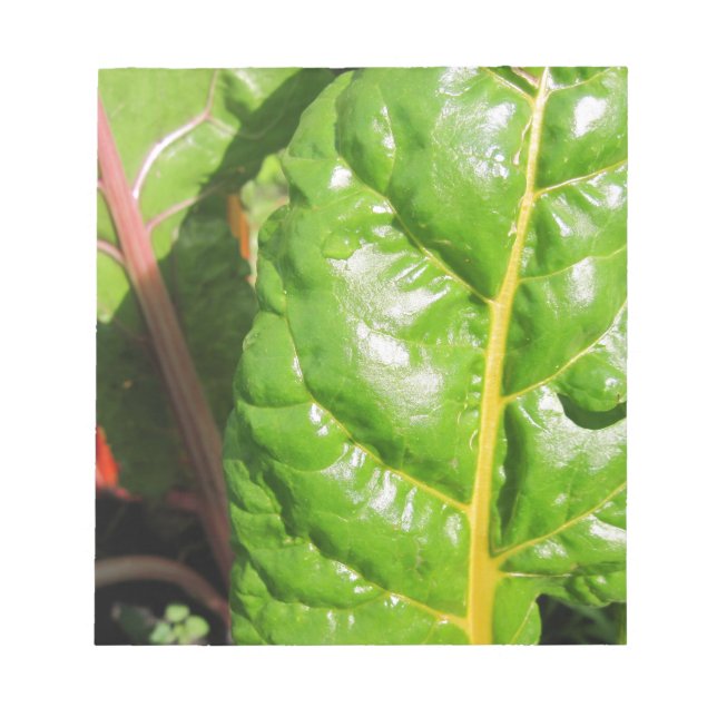 Swiss Chards Notepad (Front)