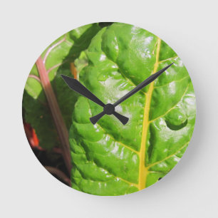 Swiss Chards Round Clock
