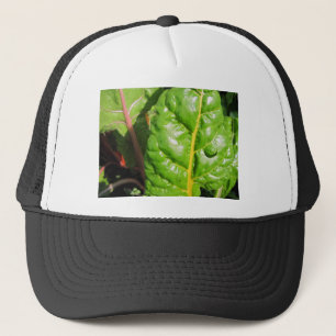 Swiss Chards Trucker Hat