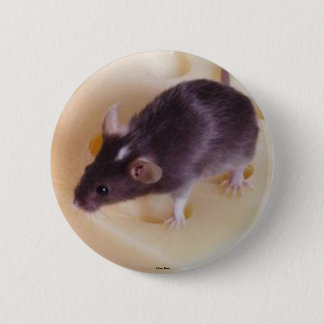 Swiss Cheese Mouse Button