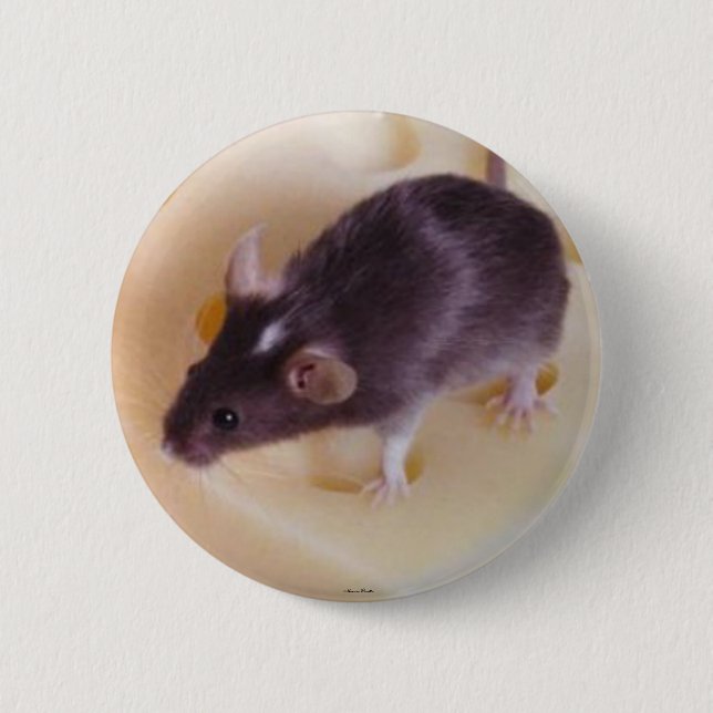 Swiss Cheese Mouse Button (Front)