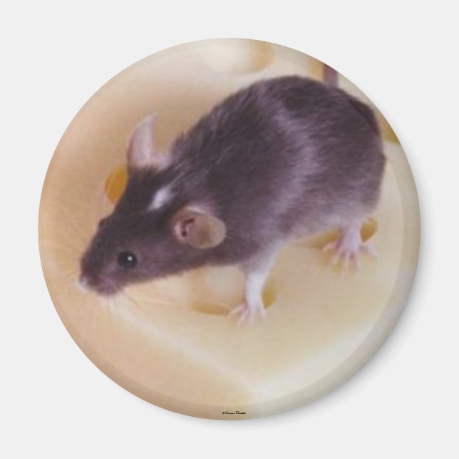 Swiss Cheese Mouse Magnet (Front)
