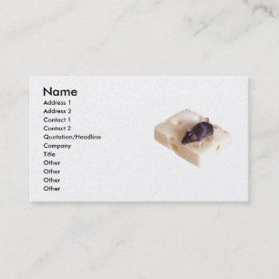 Swiss Cheese Mouse Profile Card