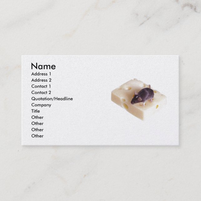 Swiss Cheese Mouse Profile Card (Front)