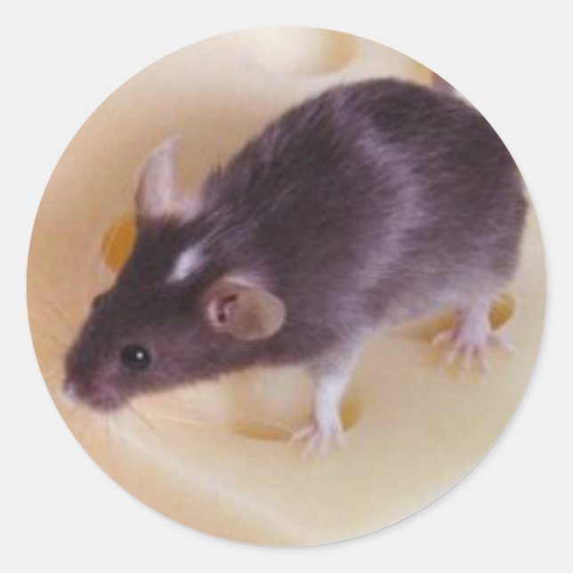 Swiss Cheese Mouse Sticker (Front)