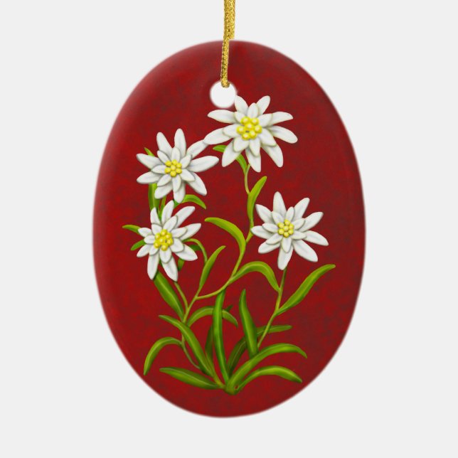 Swiss Edelweiss Alpine Flowers Ornament (Front)