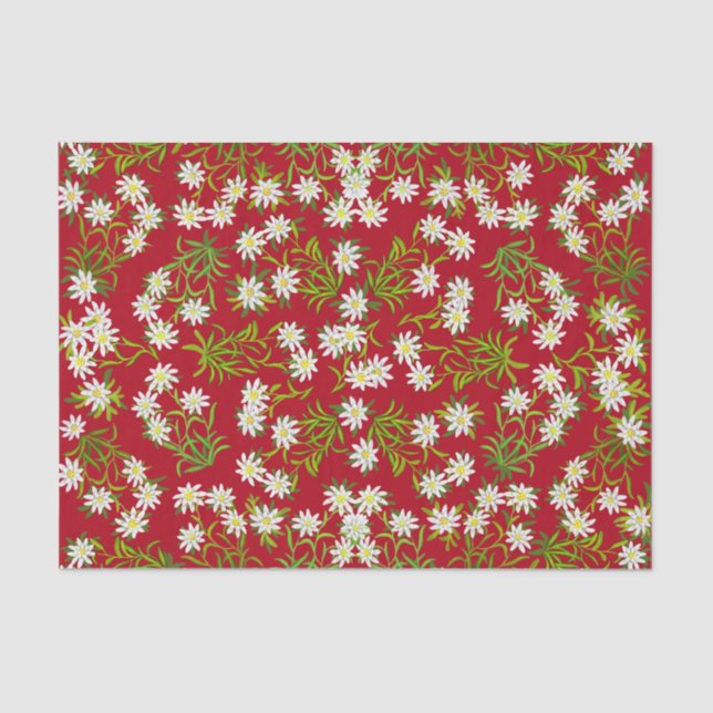 Swiss Edelweiss Alpine Flowers Tissue Paper (Front)
