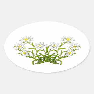 Swiss Edelweiss Flowers Sticker
