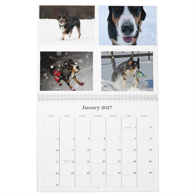 Swiss Lick Swissies (and friends) 2011 Calendar (Jan 2027)