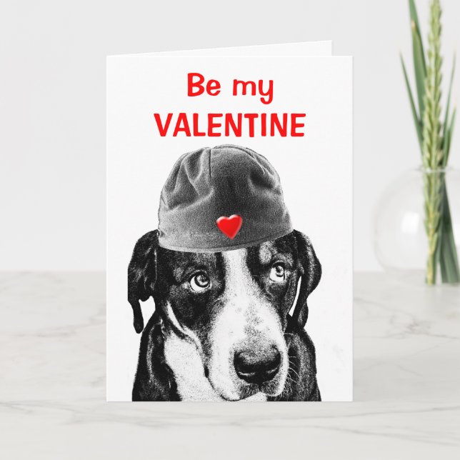 Swiss Mountain Dog Holiday Card (Front)