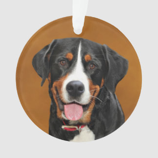 Swiss Mountain Dog Ornament
