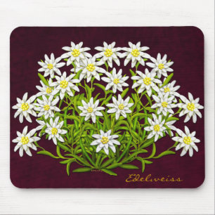 Swiss Mountain Edelweiss Flowers Mousepad