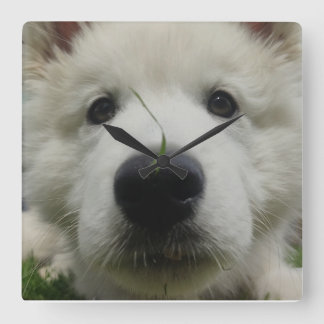 Swiss Shepherd Dog Wall Clock – Full Face Dog