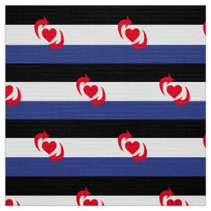 Switch Pride Flag Fabric