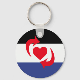 Switch Pride Flag Key Ring