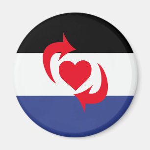 Switch Pride Flag Magnet