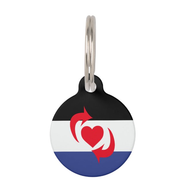 Switch Pride Flag Pet Tag (Front)