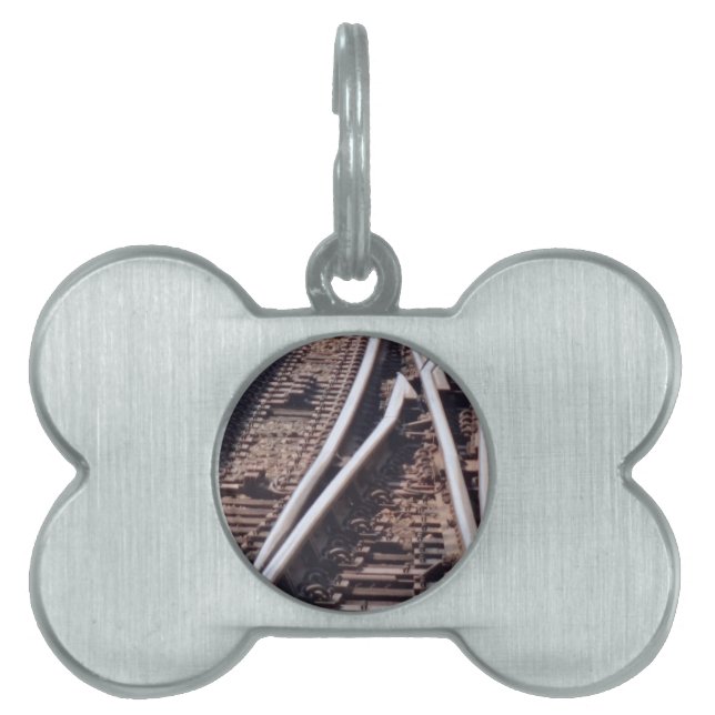 Switches Pet Name Tag (Front)