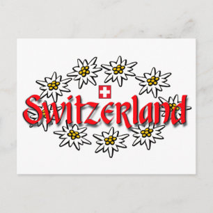 Switzerland Edelweiss Postcard