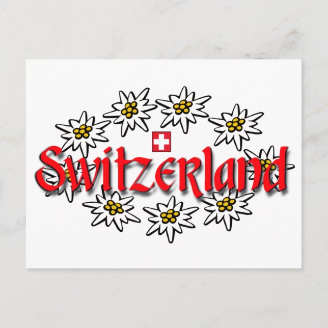 Switzerland Edelweiss Postcard (Front)