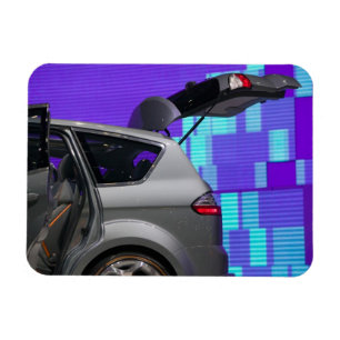 SWITZERLAND, GENEVA: 75th Annual Geneva Auto 10 Magnet