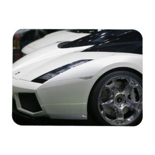 SWITZERLAND, GENEVA: 75th Annual Geneva Auto 11 Magnet