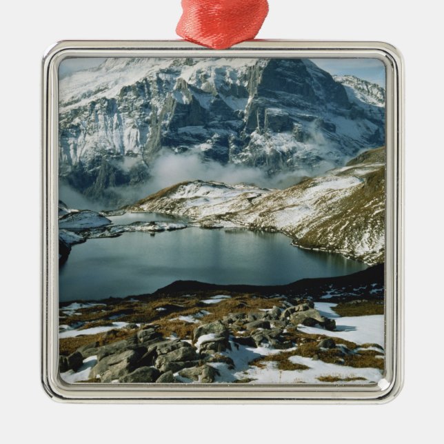 Switzerland, Grindelwald, Bernese Alps, View Metal Tree Decoration (Front)