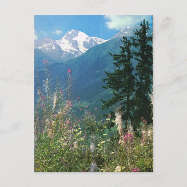 Switzerland, Jungfrau region in springtime Postcard (Front)