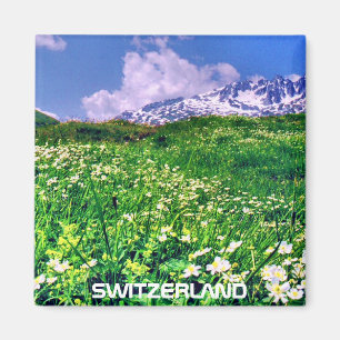 SWITZERLAND MAGNET