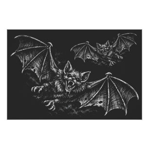 Swooping Bat - by BurnsInHell Poster