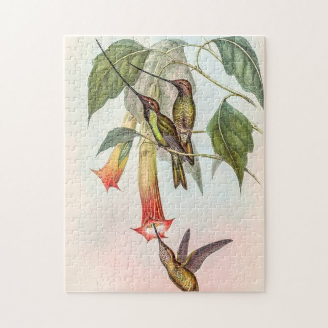 Sword-billed Hummingbird by John Gould Jigsaw Puzzle (Vertical)