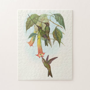Sword-Billed Hummingbird by John Gould Jigsaw Puzzle