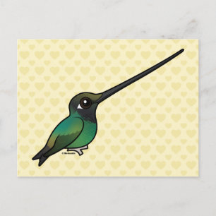 Sword-billed Hummingbird perched Postcard