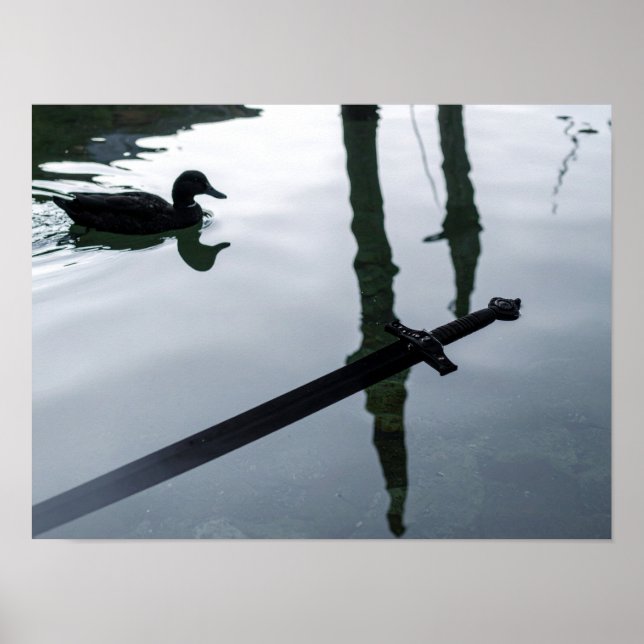 Sword in the Water with Duck Poster (Front)