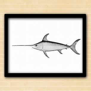 Swordfish black and white vintage illustration poster