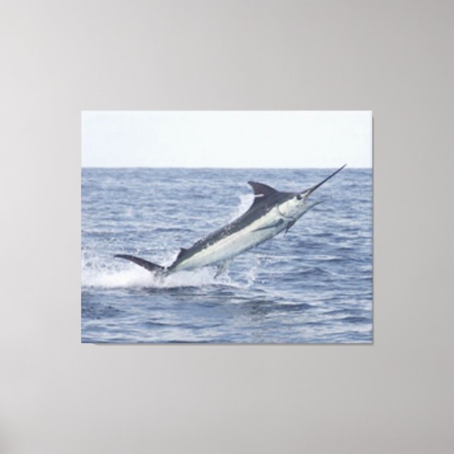 SWORDFISH CANVAS PRINT (Front)