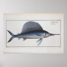 Swordfish Drawing Retro Vintage