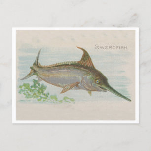 Swordfish Fishing Vintage iIlustration Postcard