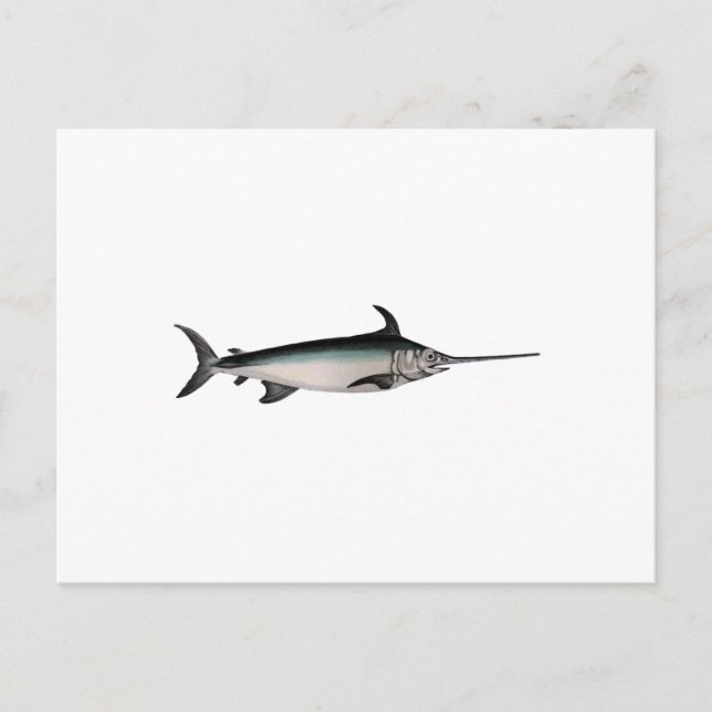 Swordfish Logo Postcard (Front)