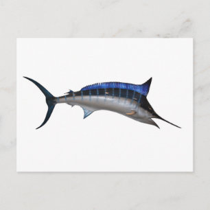 Swordfish Postcard