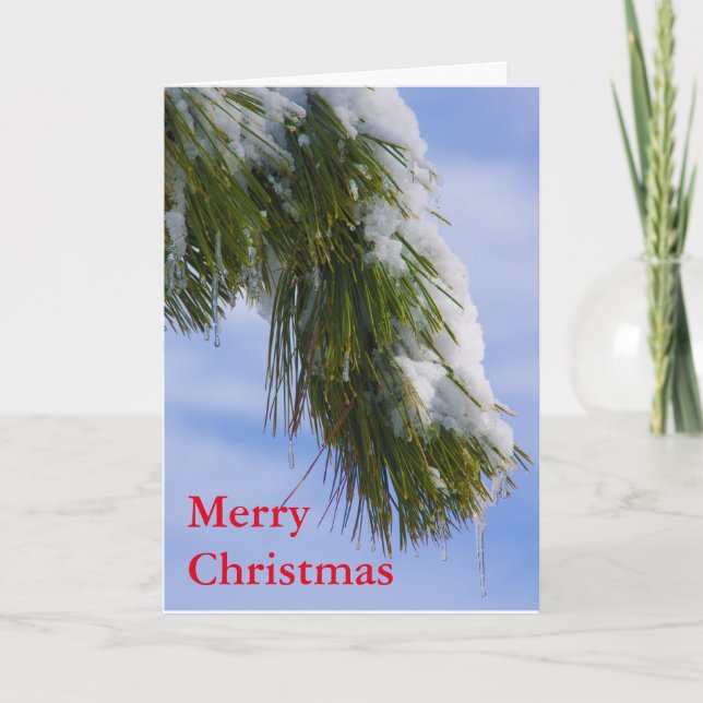 Swowy bough with icicles holiday card (Front)