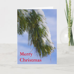 Swowy bough with icicles holiday card