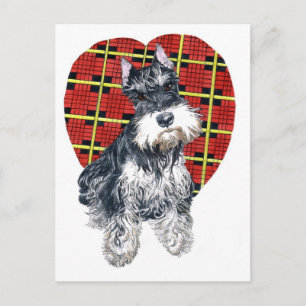 Sybil the Schnauzer Postcard